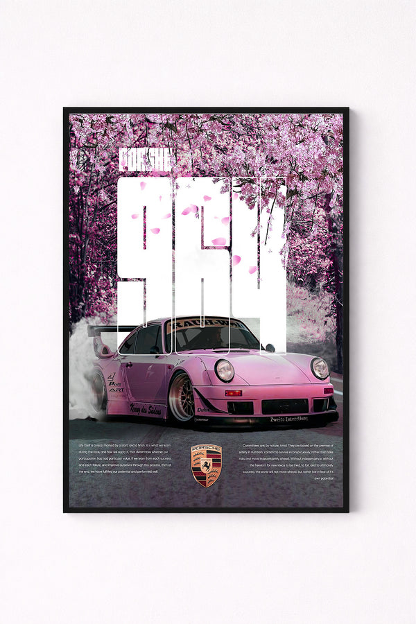 cars 43